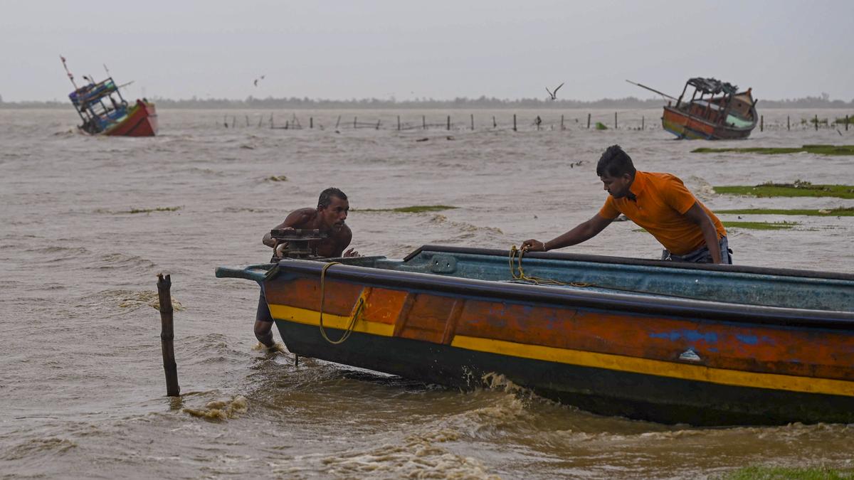 ঘূর্ণিঝড়ে লড়ে গেল হাবালিখটি সৈকতের অরণ্য