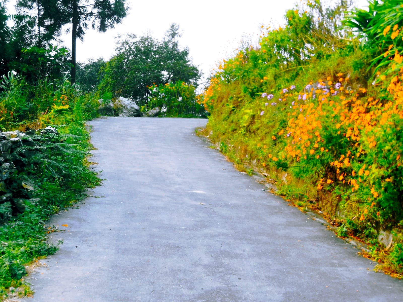 হাঁটাপথে ইচ্ছেগাঁও থেকে সিলারিগাঁও